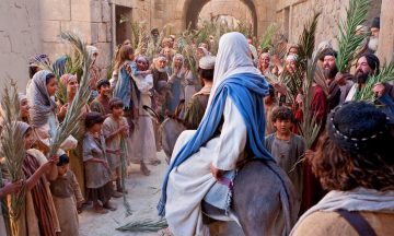 71ee94cd51cf0ea5ea40e06a671c2709f035caa2