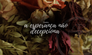 Foto Destaque Blog_20231102_150853_0000