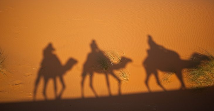 camels-g047eee316_1920