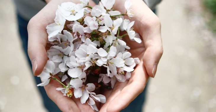 chungkuk-bae-_0mtPW3Epwo-unsplash