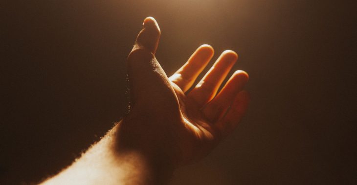 jackson-david-2hJZF52UR9k-unsplash