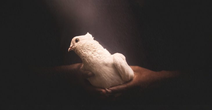 nowshad-arefin-EvdYEGDu_CQ-unsplash