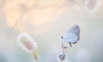 ray-hennessy-qZzJoiKHqmo-unsplash