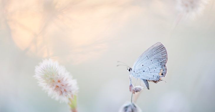 ray-hennessy-qZzJoiKHqmo-unsplash