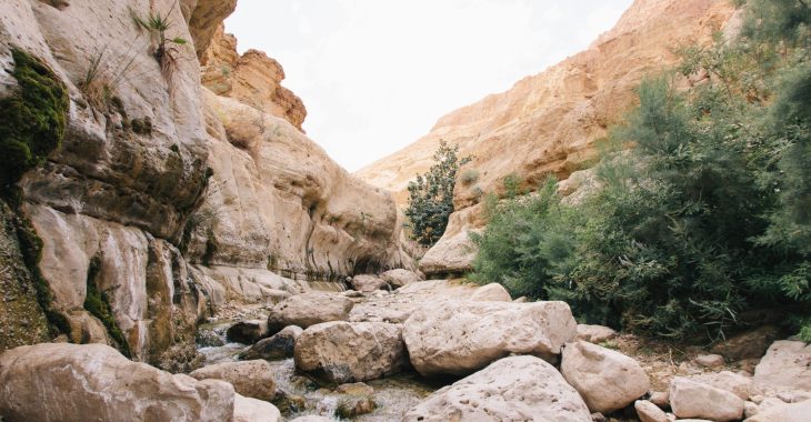 robert-bye-VkZuNpXxdIg-unsplash